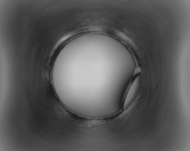 X0000086051166200704131950