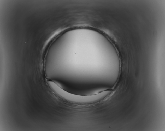 X0000086051167200704131950