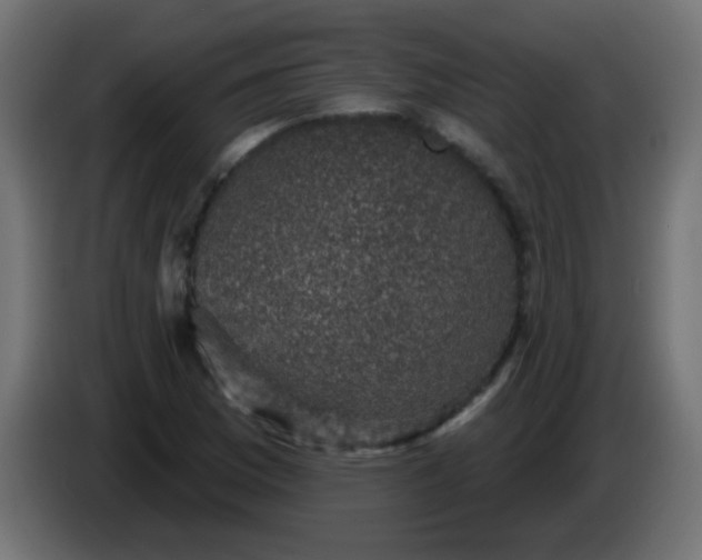 X0000086051169200704131950