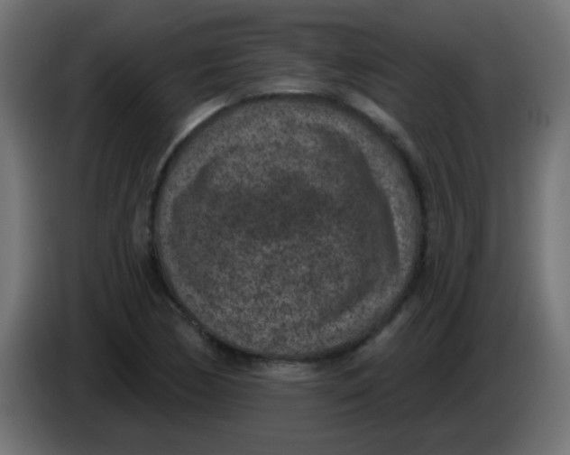 X0000086051170200704131950