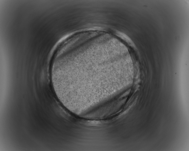 X0000086051172200704131950