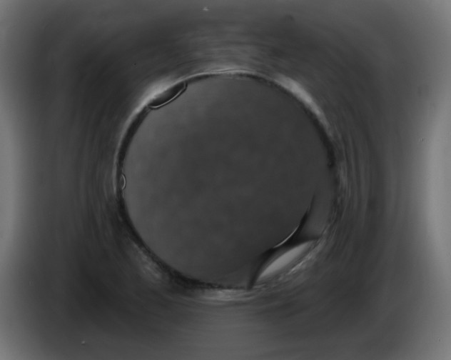 X0000086051173200704131950
