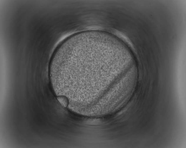 X0000086051174200704131950