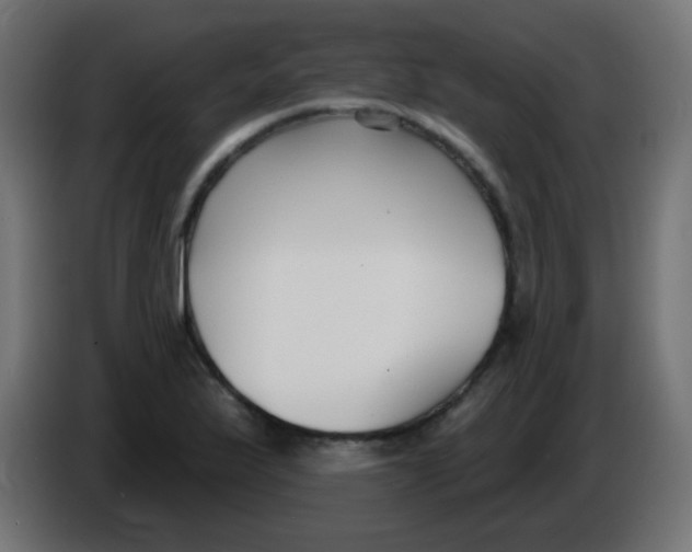 X0000086051175200704131950