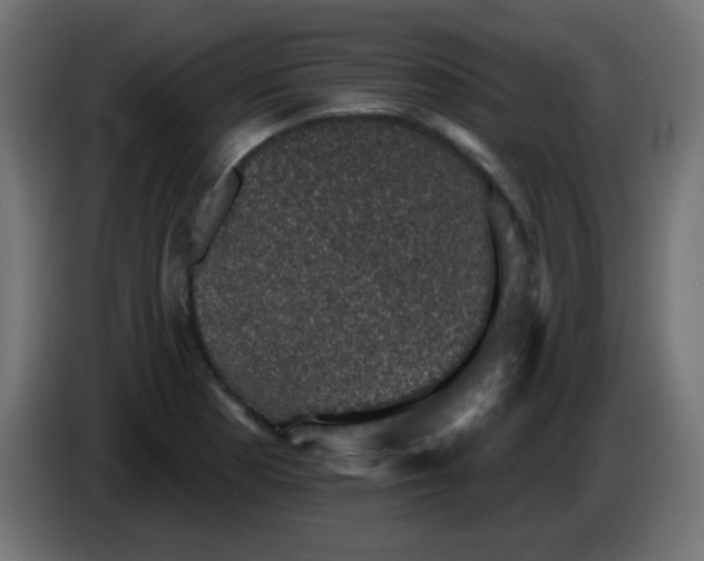 X0000086051177200704131950