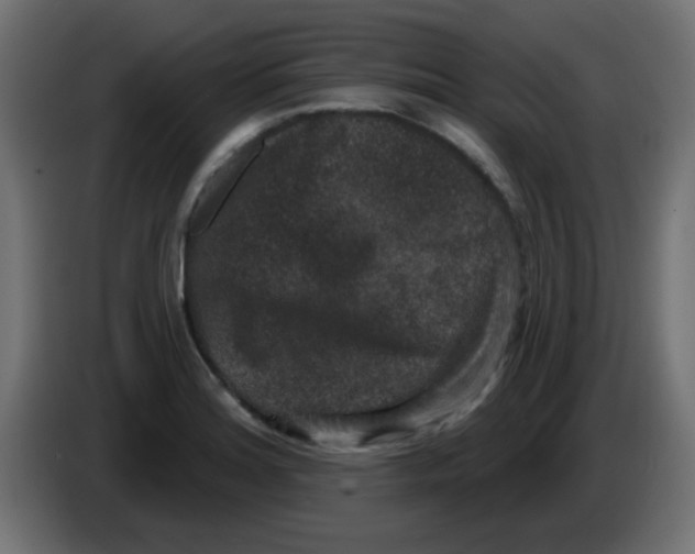 X0000086051180200704131950