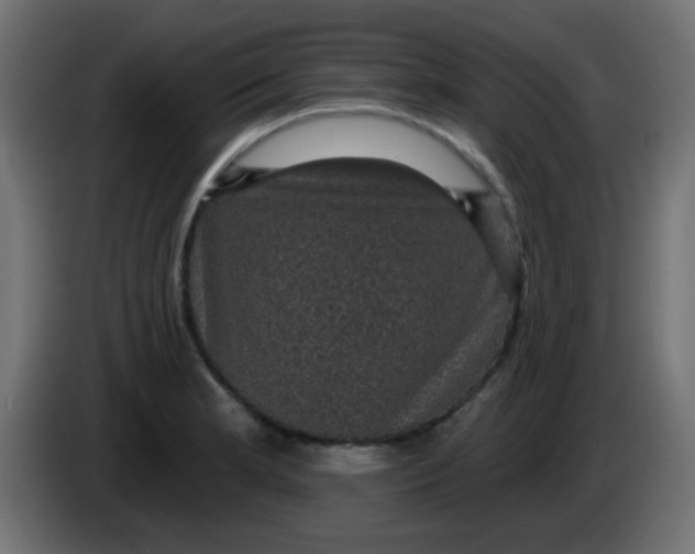 X0000086051181200704131950