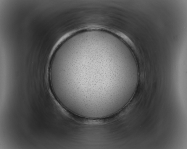 X0000086051183200704131950