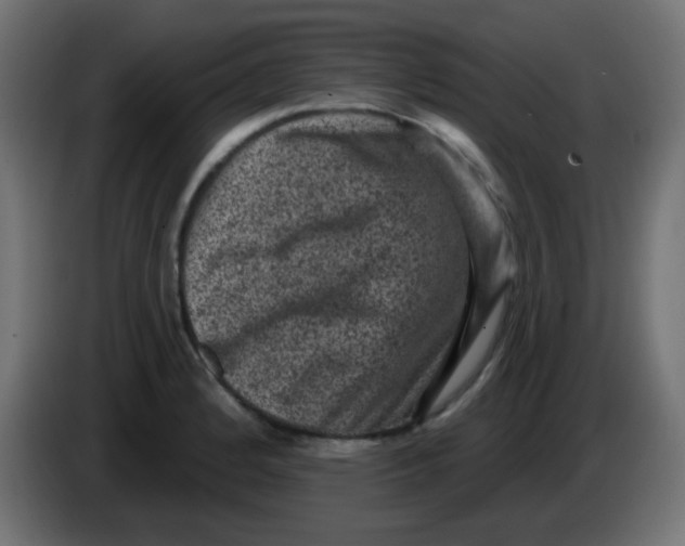 X0000086051184200704131950
