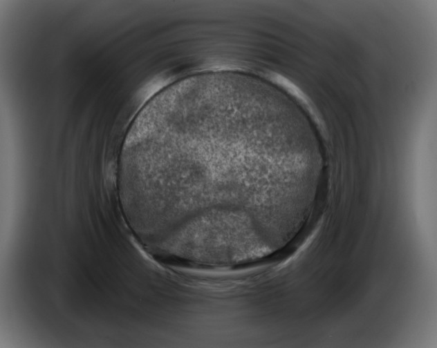 X0000086051185200704131950