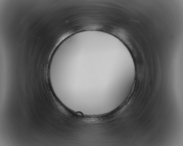 X0000086051186200704131950
