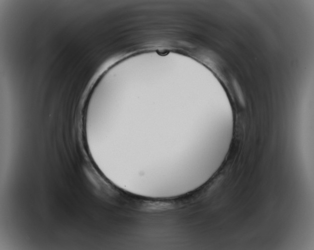 X0000086051187200704131950