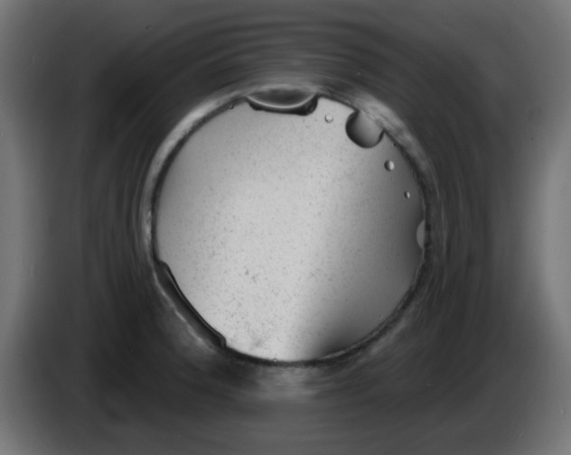 X0000086051188200704131950