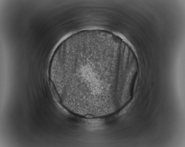 X0000086051189200704131949