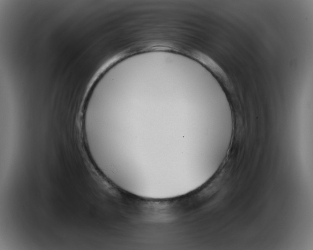X0000086051190200704131949