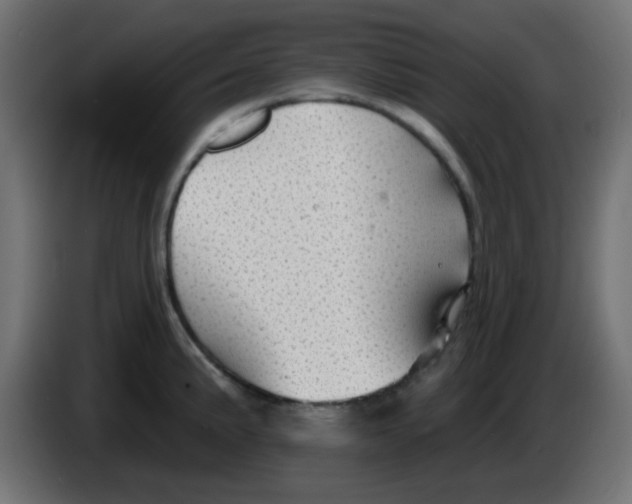 X0000086051191200704131949