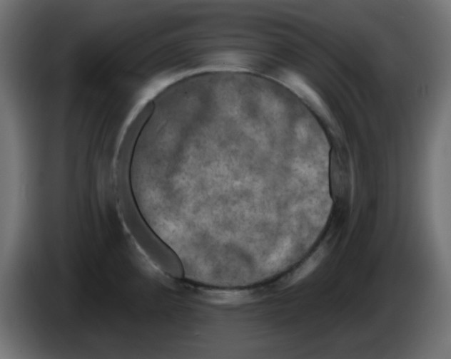X0000086051192200704131949
