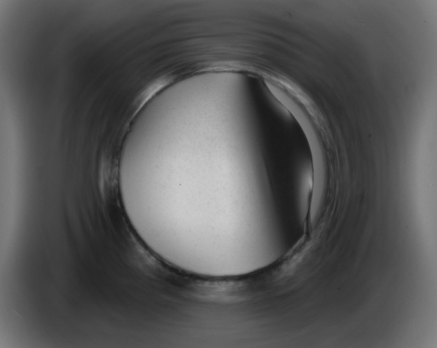 X0000086051193200704131949