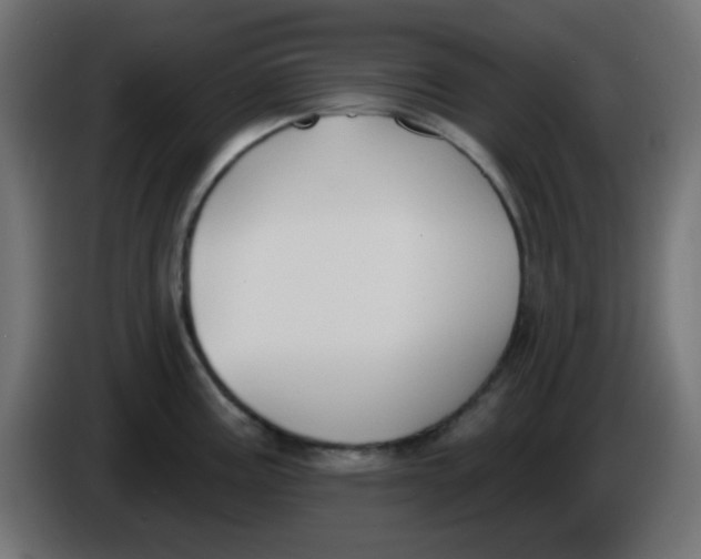 X0000086051195200704131949