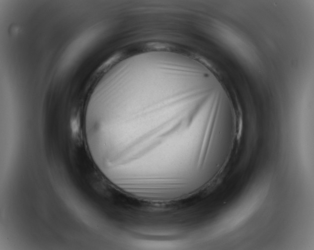 X0000086051198200704131949