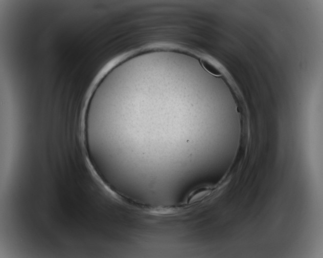 X0000086051199200704131949