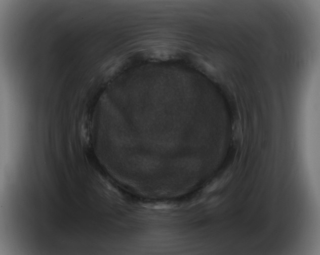 X0000086051202200704131949