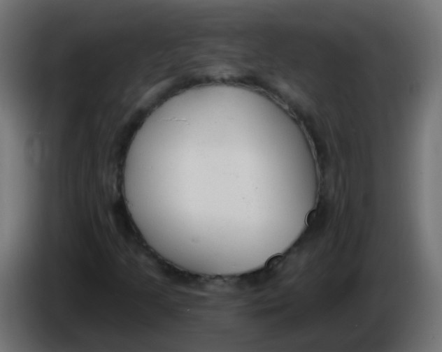 X0000086051205200704131949