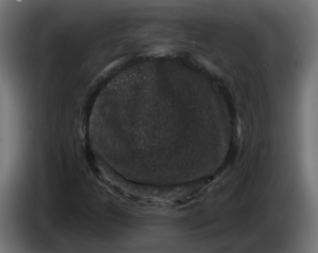 X0000086051206200704131949