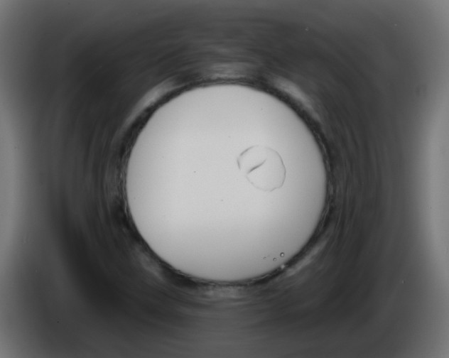 X0000086051211200704131949