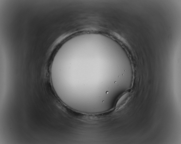 X0000086051215200704131949