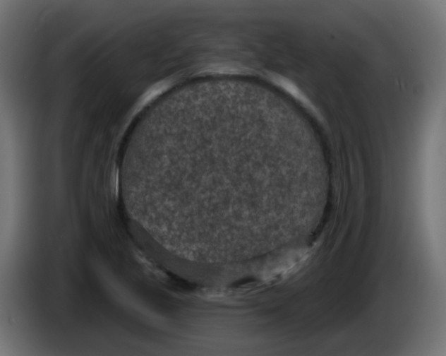 X0000086051221200704131949