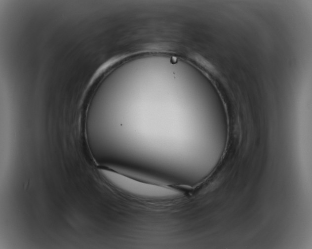 X0000086051222200704131949