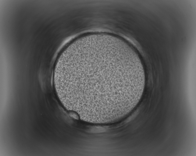 X0000086051224200704131949