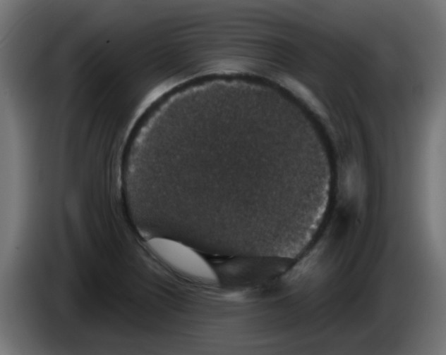 X0000086051226200704131949