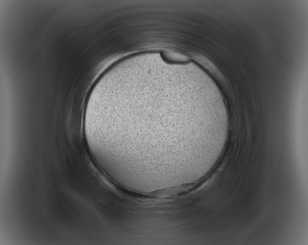 X0000086051228200704131949