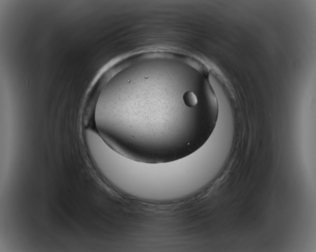 X0000086051230200704131949