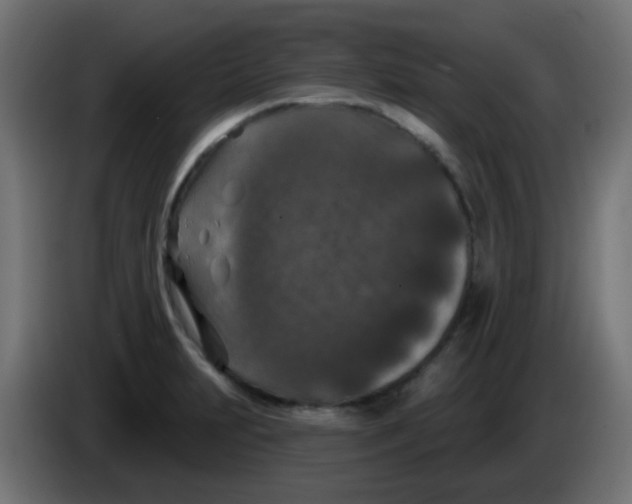 X0000086051231200704131949