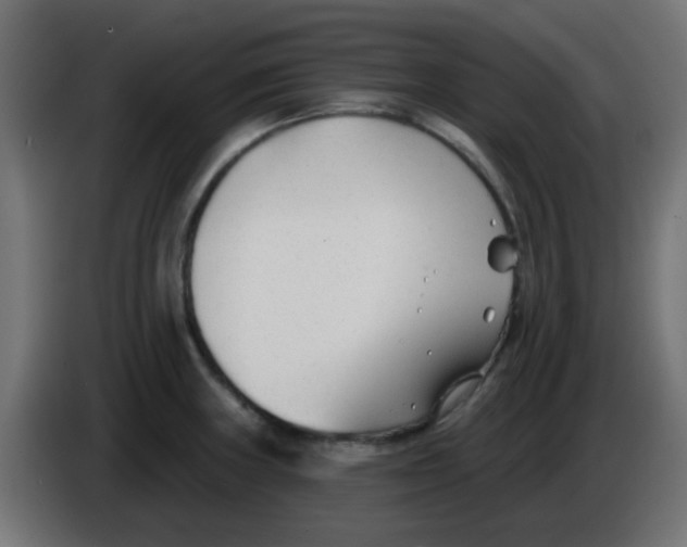 X0000086051235200704131949