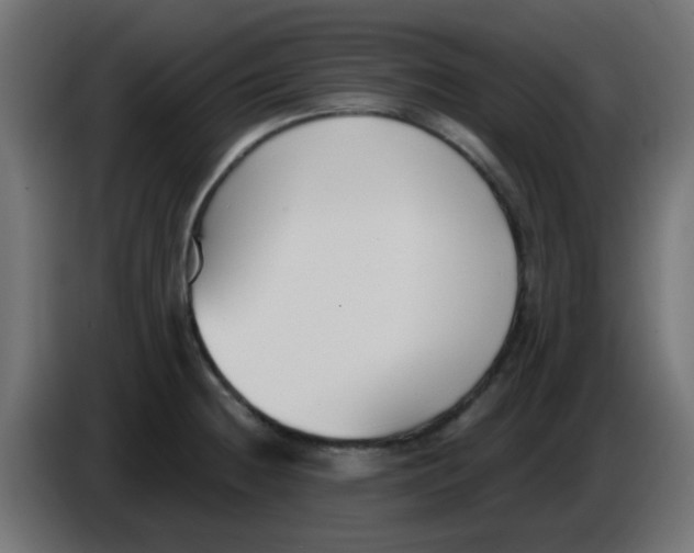 X0000086051236200704131949