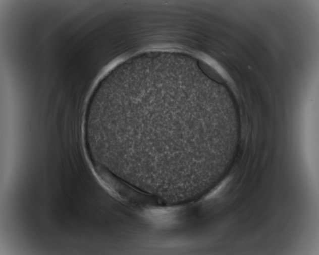 X0000086051237200704131949
