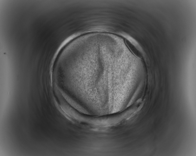 X0000086051238200704131949