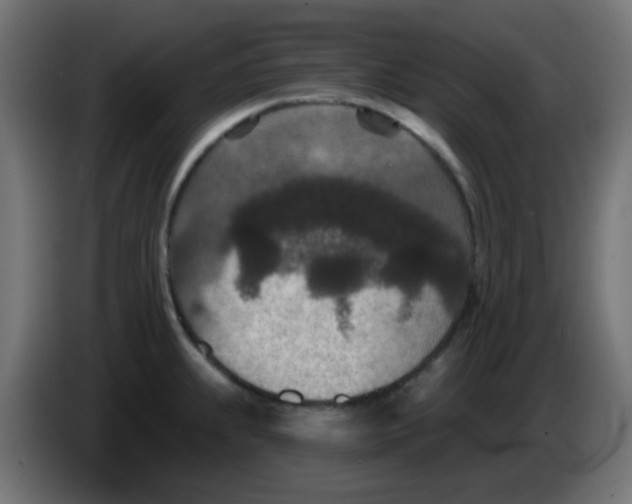 X0000086051239200704131949