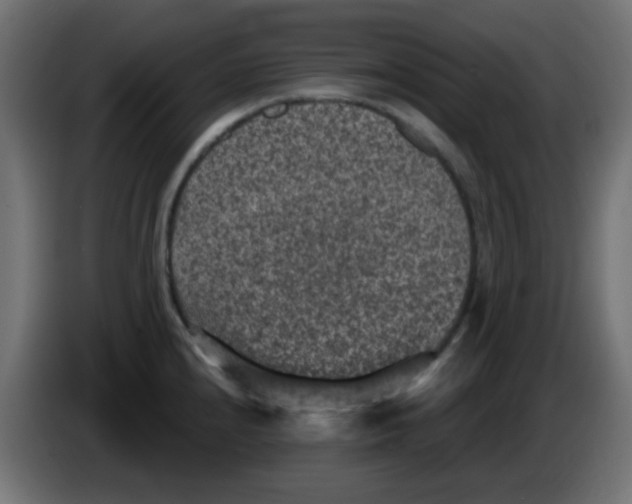X0000086051240200704131949