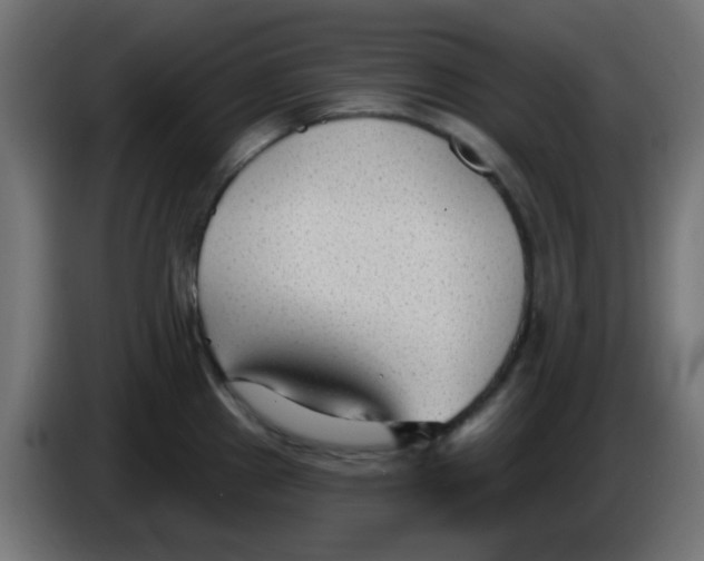 X0000086051241200704131949