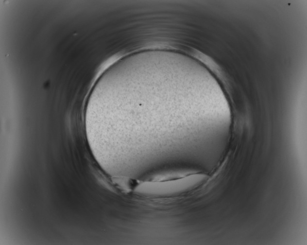 X0000086051242200704131949