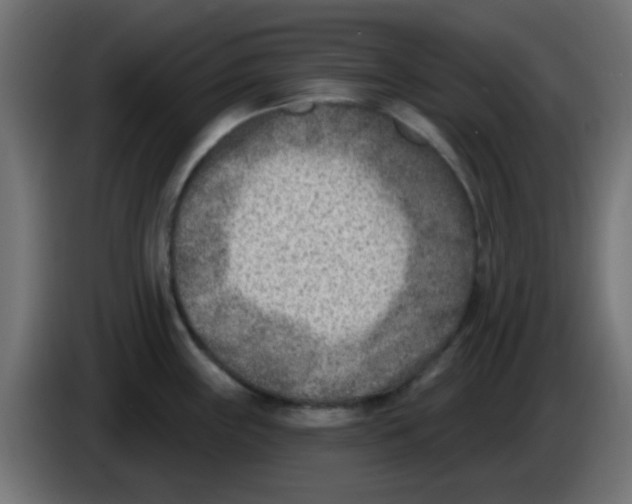 X0000086051243200704131949
