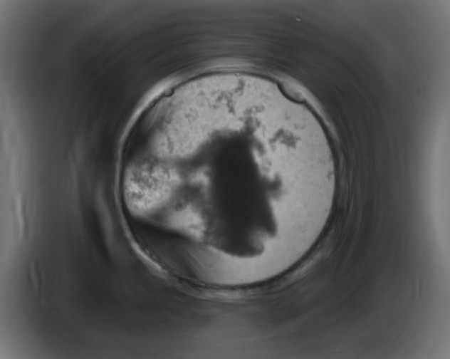X0000086051245200704131949