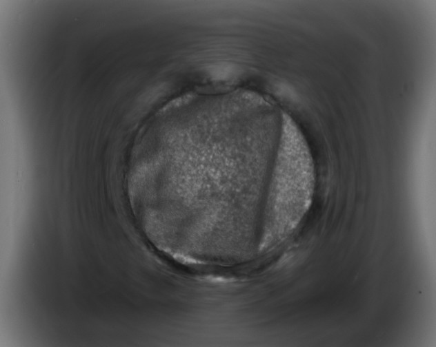 X0000086051249200704131949
