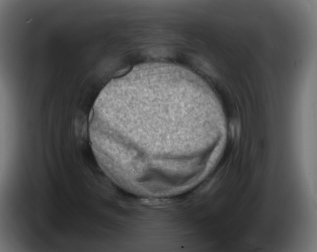 X0000086051251200704131949