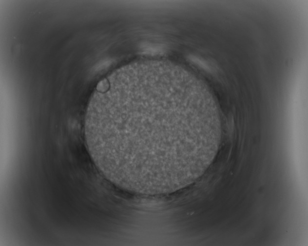X0000086051254200704131949